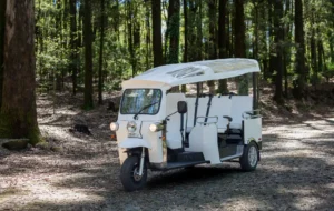 L5 limo gt melhor opção para tours ecológicos