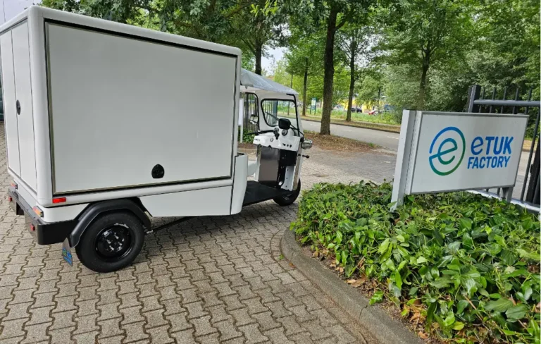 Tuk Tuk L5 Cargo parado