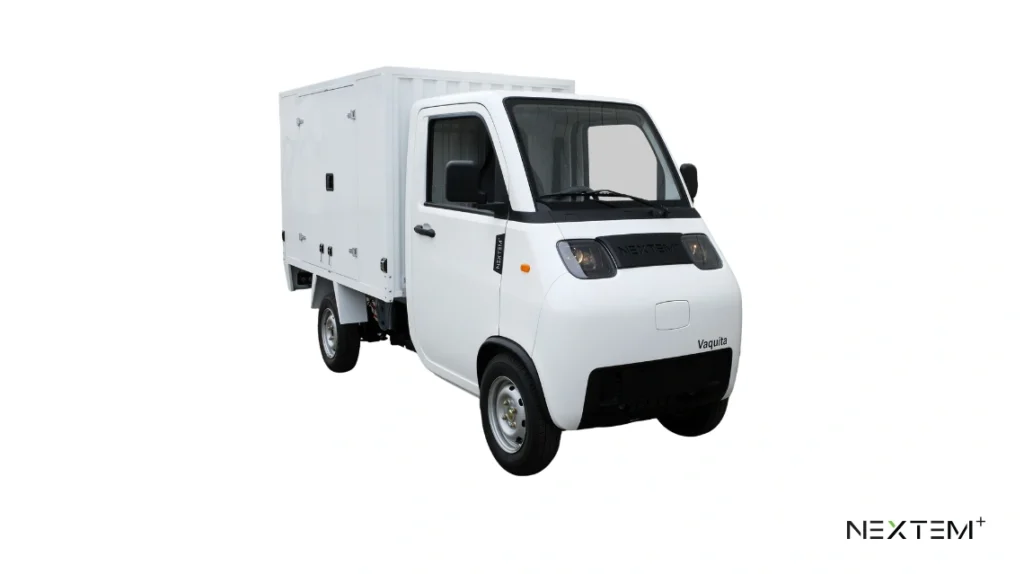 Nextem vaquita